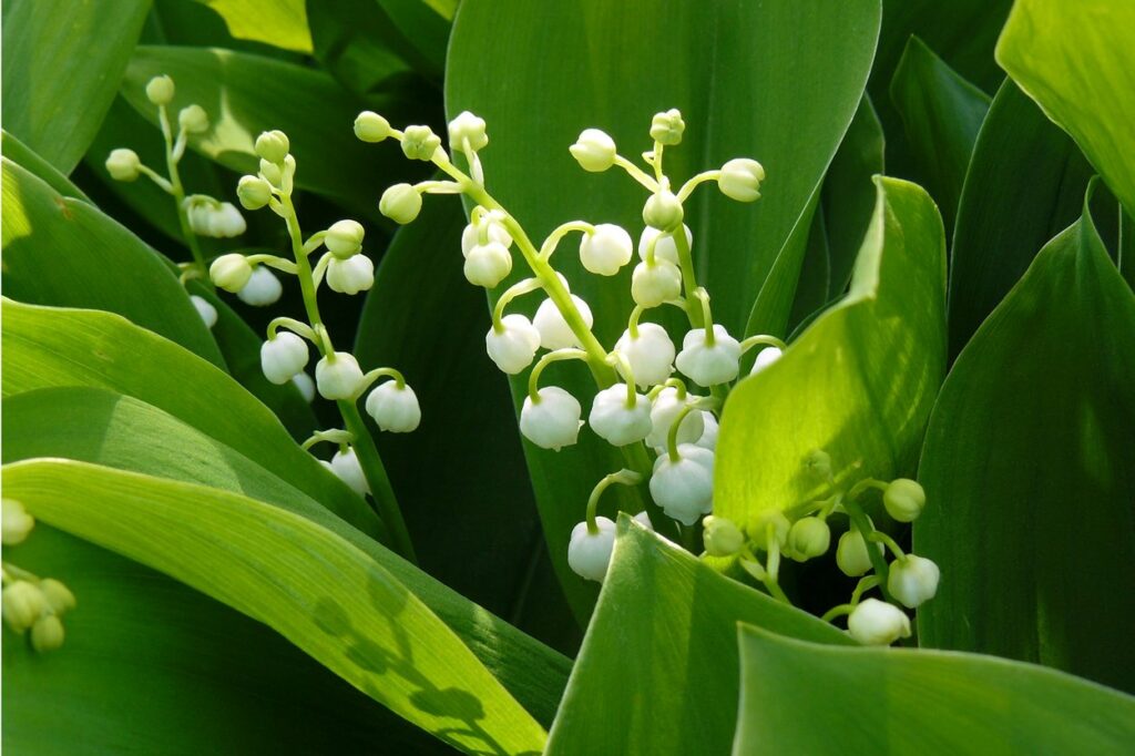 3cg9pv7gav1jbndkqixannt10l3oqxubxyqs7dbmi6jvuo9p43j3htwmiy0a-w1250-q85