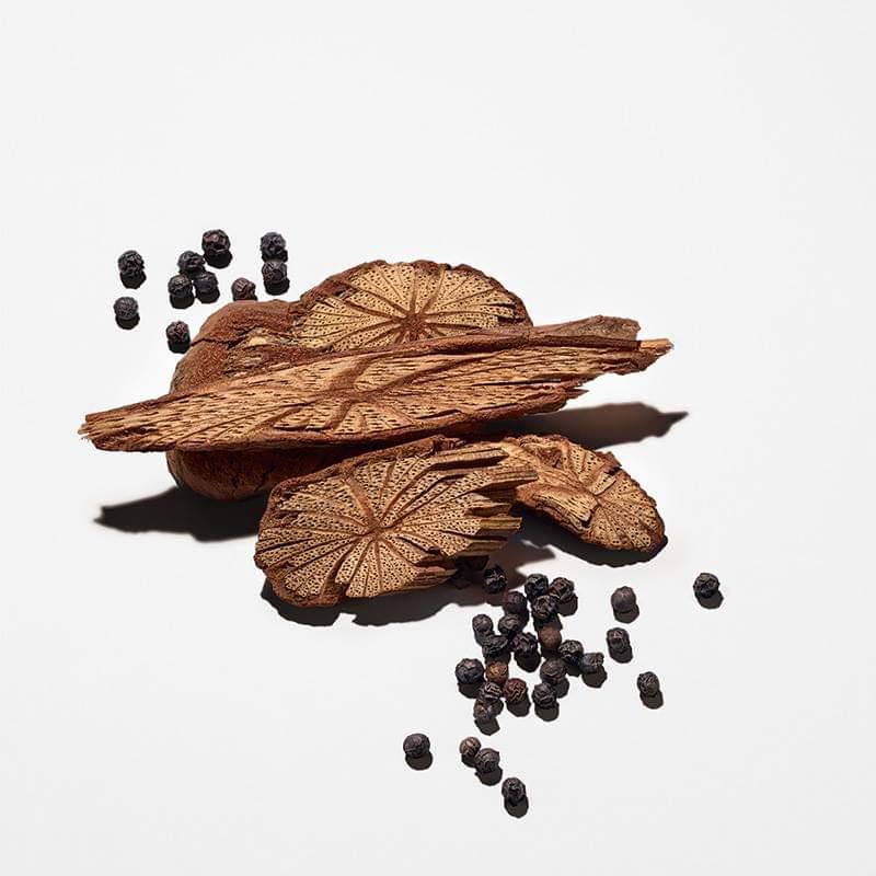 8dc231c01e82f15548785